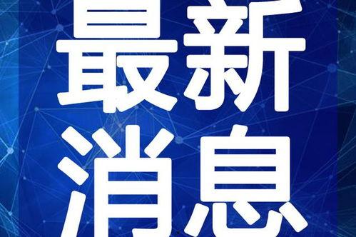 香肠配对爆料视频大全最新,揭秘美食背后的趣味故事