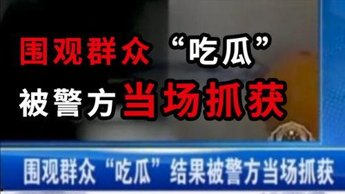 西宁吃瓜最新事件爆料新闻,揭秘最新爆料背后的真相与争议